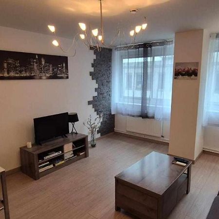 Nouveau !! Appartement Confortable Totalement Renove Avec Parking Gratuit - Hypercentre De 낭시 외부 사진