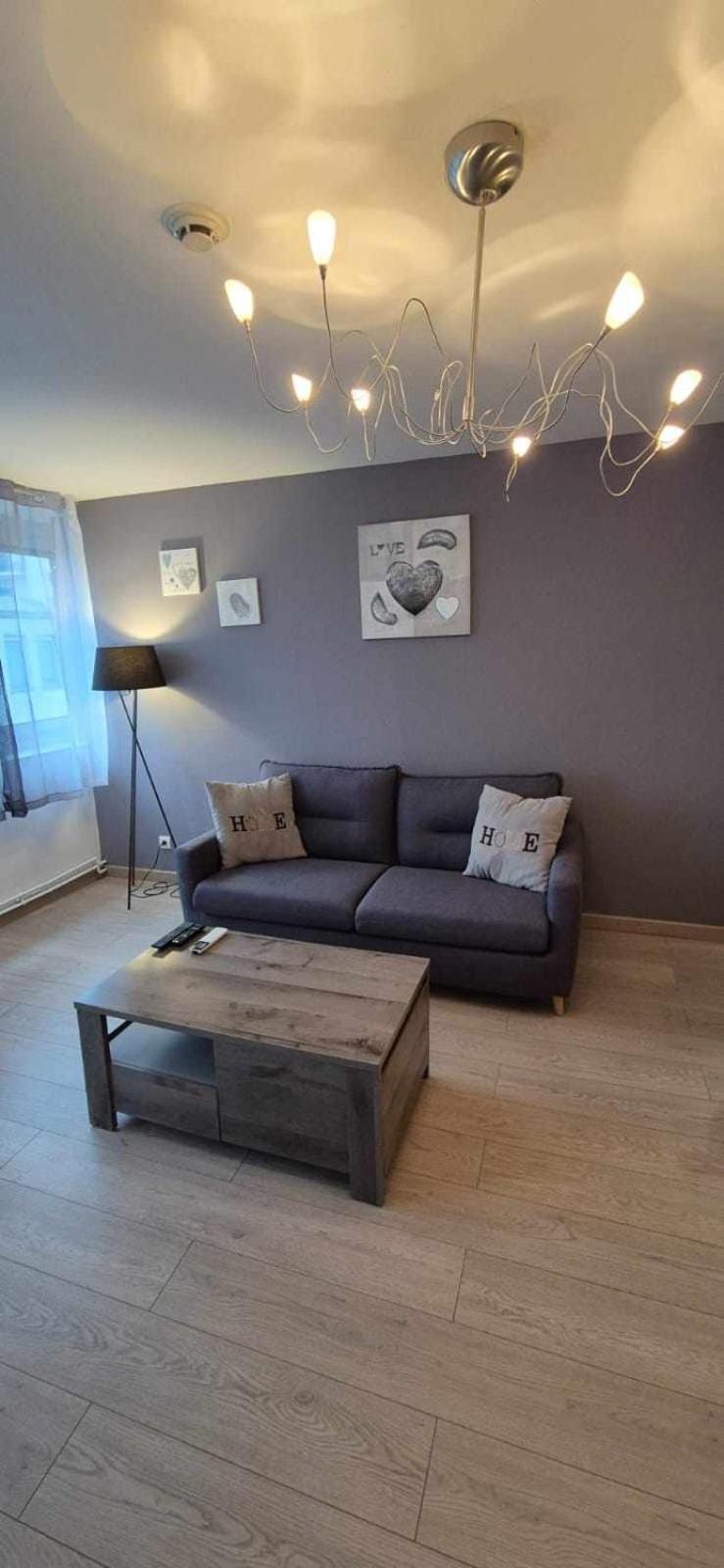 Nouveau !! Appartement Confortable Totalement Renove Avec Parking Gratuit - Hypercentre De 낭시 외부 사진